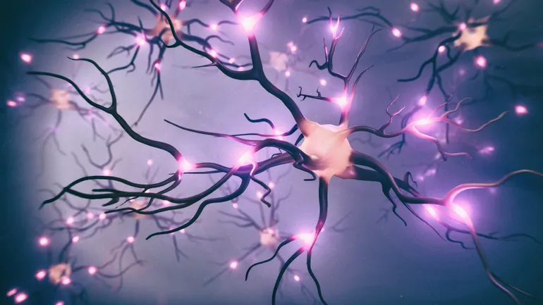 Neuron glowing against a dark background representing neurological discovery