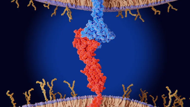 Abstract representation of dual-targeting immunotherapy breaking through cancer cells