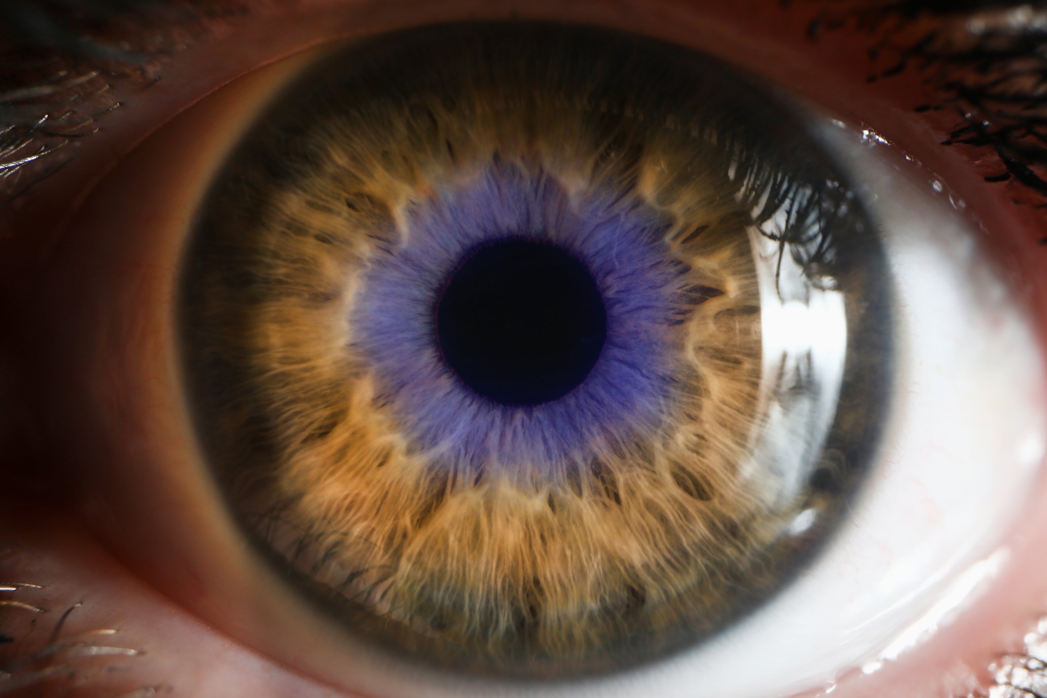 Abstract representation of an eye with medical symbols, highlighting eye health