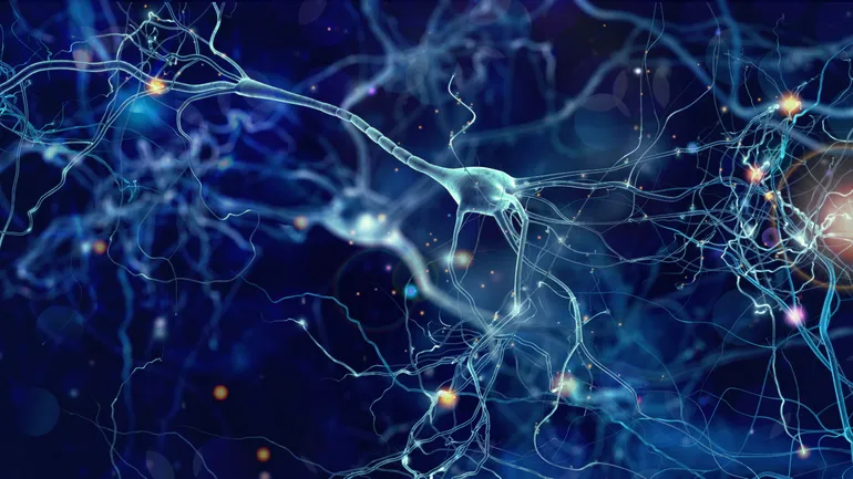 Neuron cells connecting, symbolizing neurological regeneration