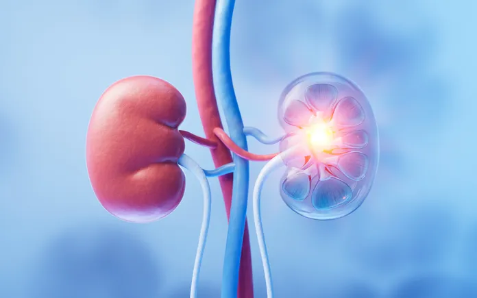 A scientist analyzing kidney cells, symbolizing breakthroughs in renal therapies