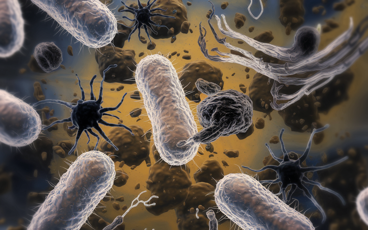 Illustration of bacteria evading antibiotic treatment