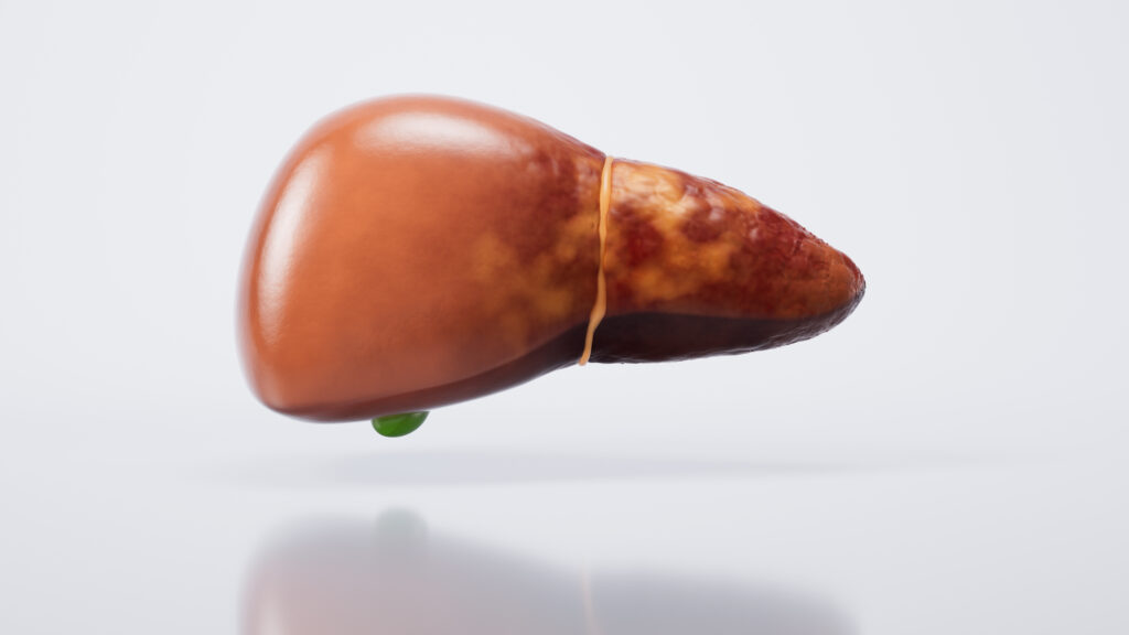 An image depicting a liver regenerating with medical symbols, representing a breakthrough in liver treatment