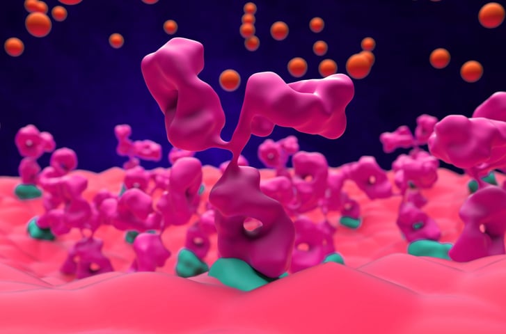 An illustration of a shield representing a new immune-boosting medication