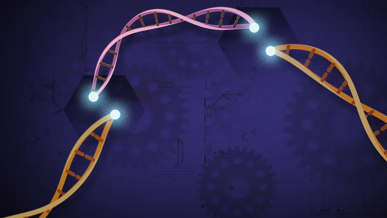 Intellia Therapeutics laboratory with CRISPR equipment