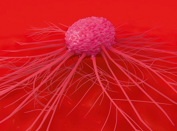 A heatmap visualization representing genetic variations between two prostate cancer subtypes