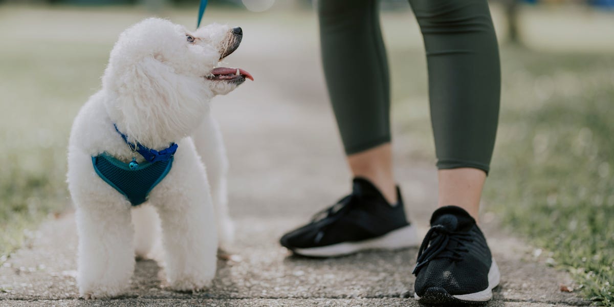 A woman confidently walking her dog in a park