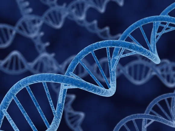 Image depicting DNA strands and a rising graph, symbolizing advancements in gene editing and successful funding.