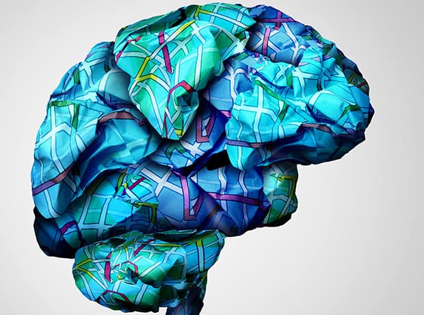 Brain neurons with connections, representing cognitive neuroscience