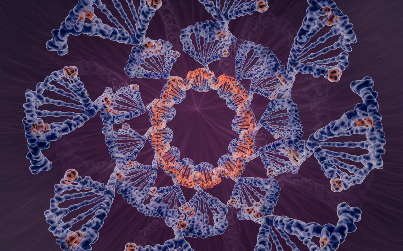 Artistic depiction of RNA molecules in a circular formation